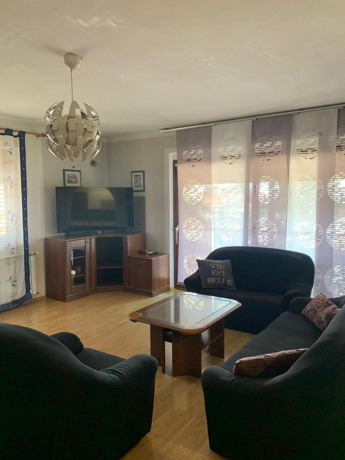 Apartment Novigrad Centre מראה חיצוני תמונה